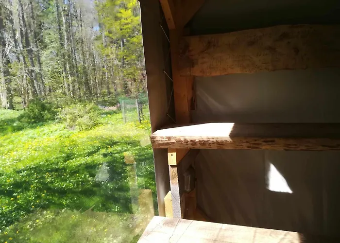 مكان تخييم Timu Talu Puhkemajad *