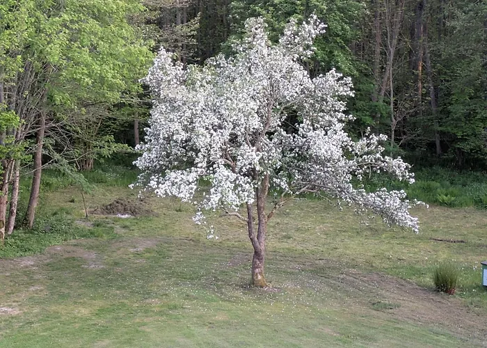 Timu Talu Puhkemajad مكان تخييم *